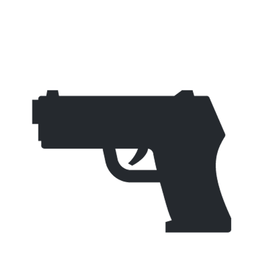 Gun/Firearm Offenses